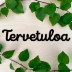 Tervetuloa kyltti koivus musta ulko-oveen oveen koivu puinen