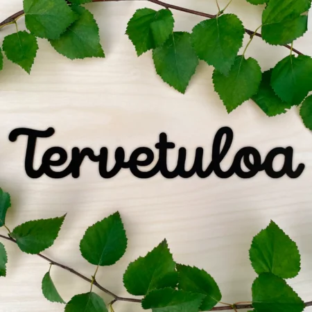 Tervetuloa kyltti koivus musta ulko-oveen oveen koivu puinen