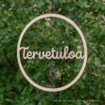 Tervetuloa kranssi puinen koivuvaneri koivus oveen