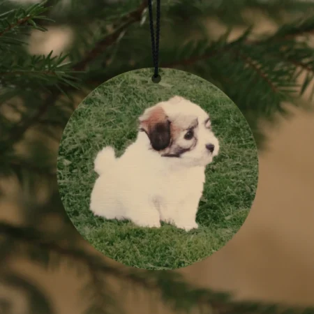 joulupallo omalla kuvalla kuusenkoriste koivus